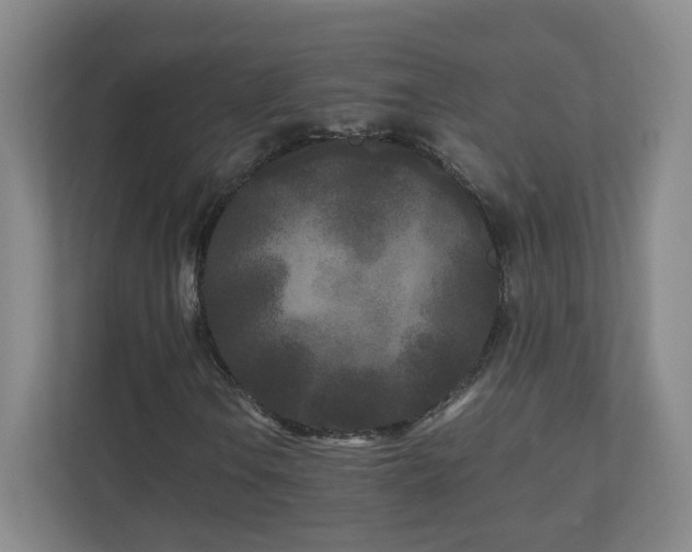 X0000110951106200906191245