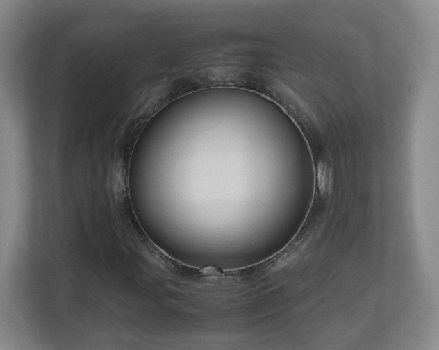 X0000110951107200906191245