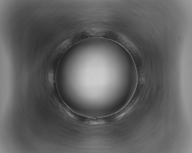 X0000110951108200906191245