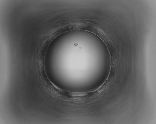 X0000110951109200906191245