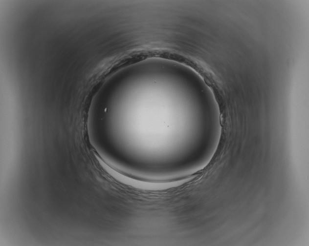 X0000110951110200906191245