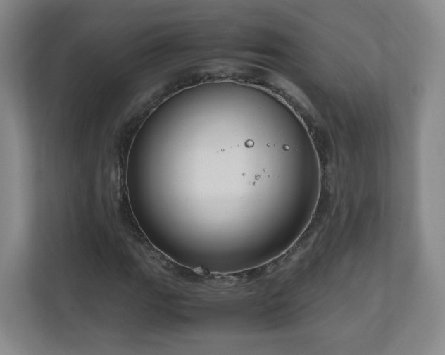 X0000110951111200906191245