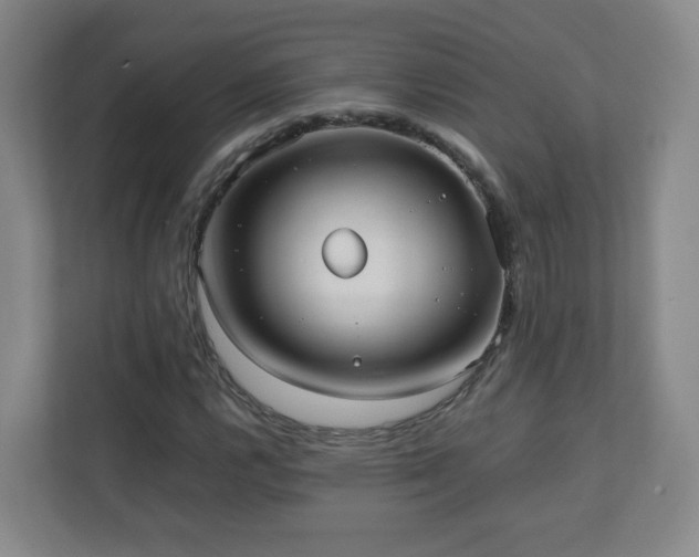 X0000110951112200906191245