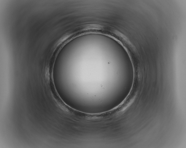 X0000110951113200906191245
