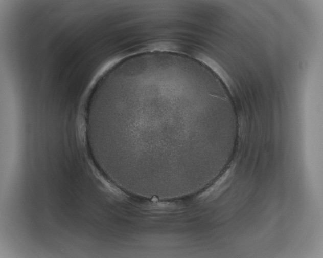 X0000110951115200906191245