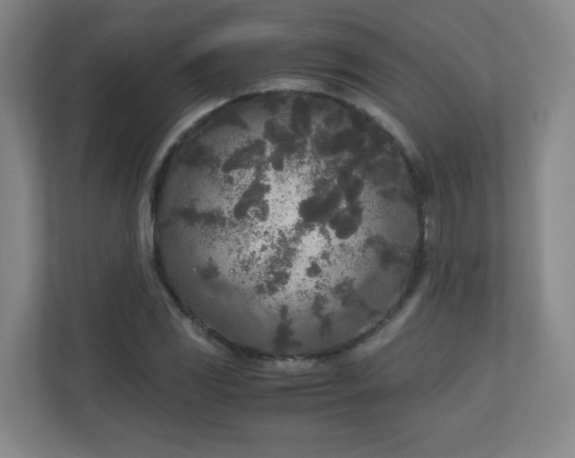 X0000110951117200906191245