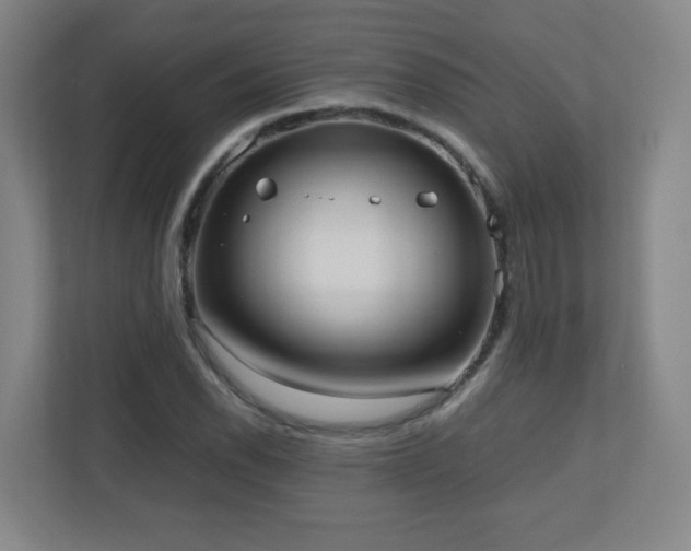 X0000110951118200906191245