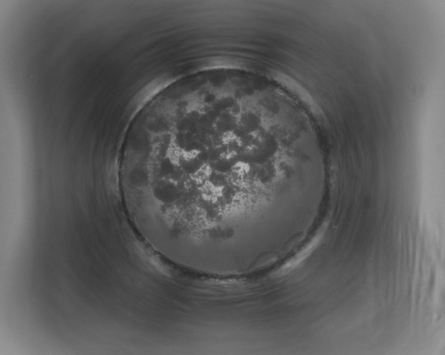 X0000110951121200906191245