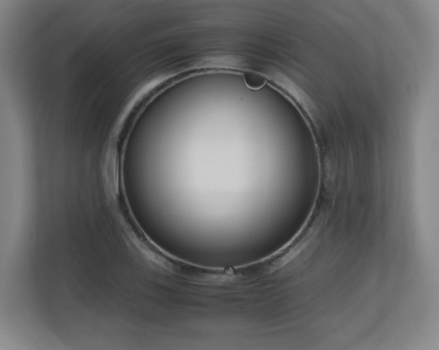 X0000110951123200906191245