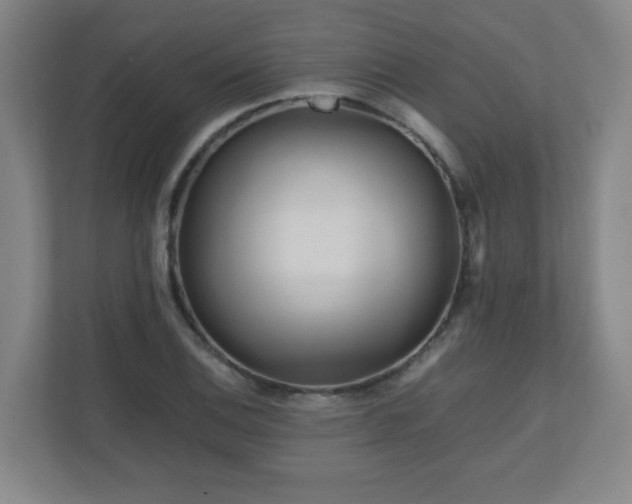 X0000110951124200906191245