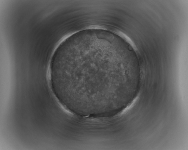 X0000110951125200906191245