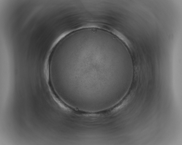 X0000110951127200906191245