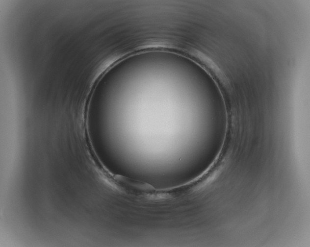 X0000110951129200906191245