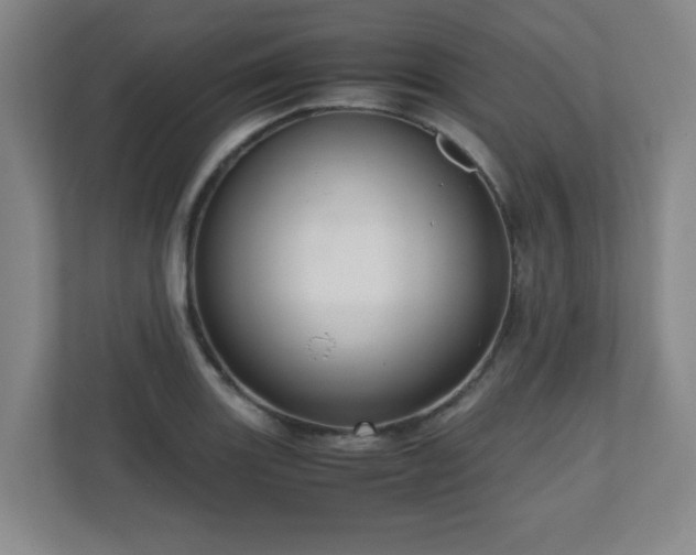 X0000110951131200906191245
