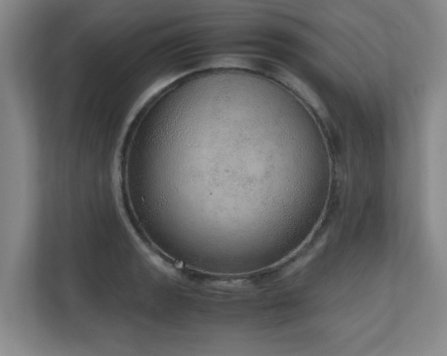 X0000110951133200906191245
