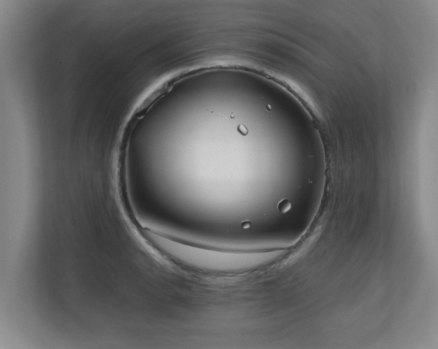 X0000110951134200906191245