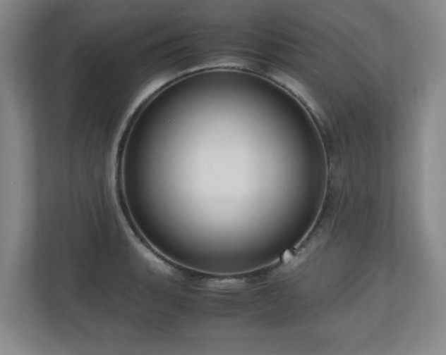 X0000110951135200906191245