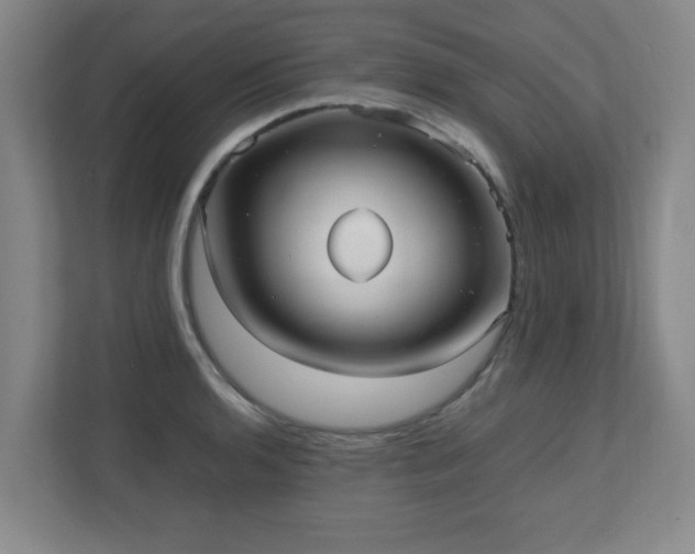 X0000110951136200906191245