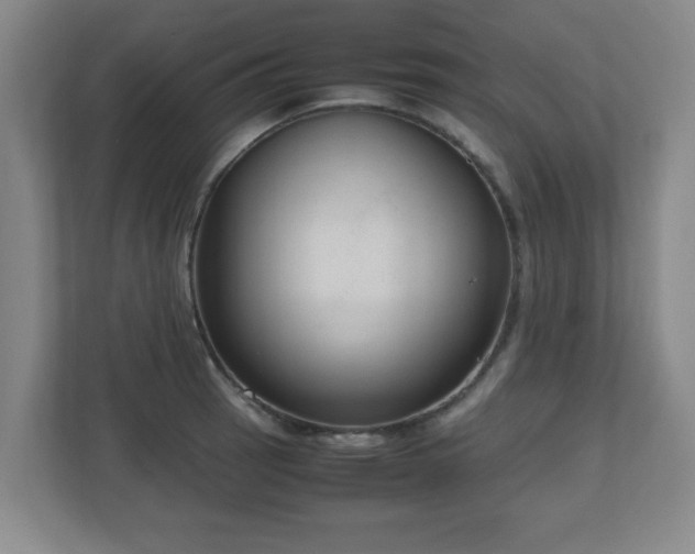 X0000110951137200906191245