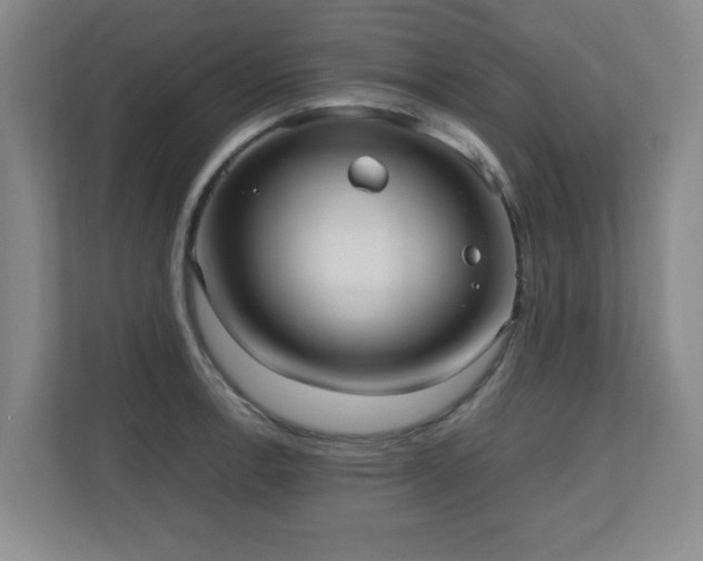X0000110951138200906191245