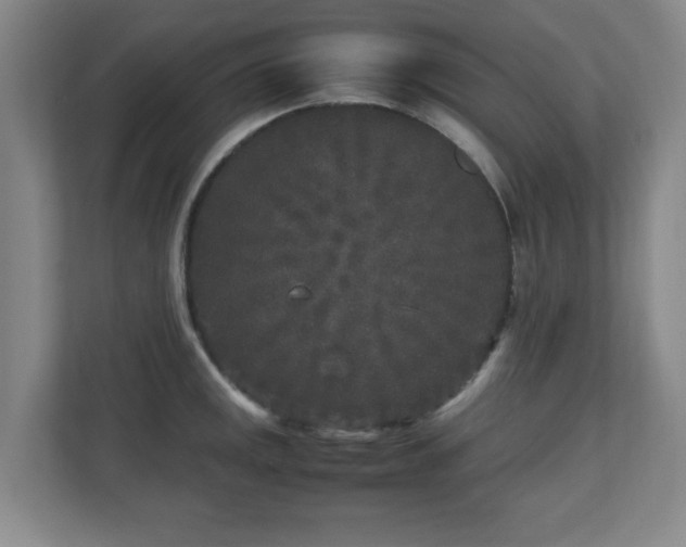 X0000110951141200906191245