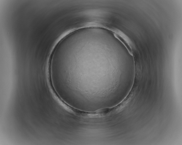 X0000110951142200906191245