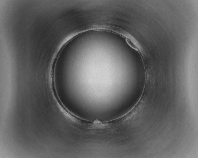 X0000110951143200906191245