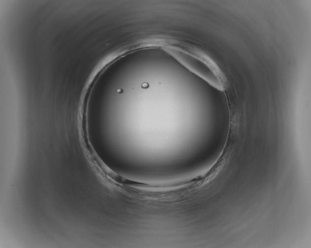 X0000110951146200906191245