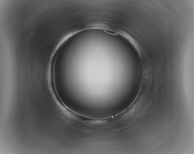 X0000110951147200906191245