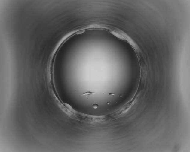 X0000110951148200906191245