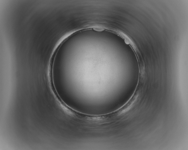 X0000110951149200906191245