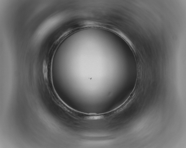 X0000110951151200906191245