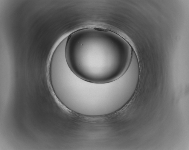 X0000110951152200906191245