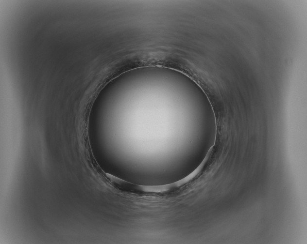 X0000110951153200906191245