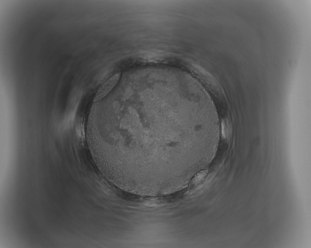 X0000110951155200906191245