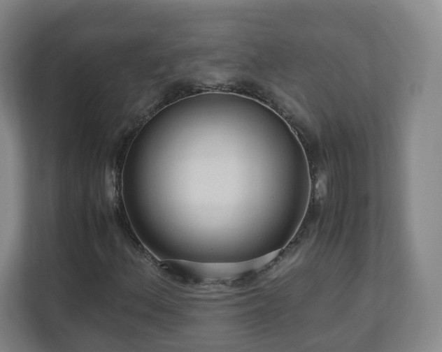 X0000110951156200906191245