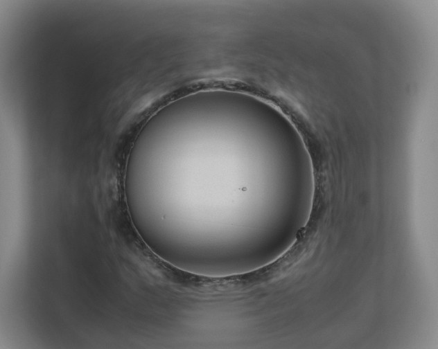 X0000110951159200906191245