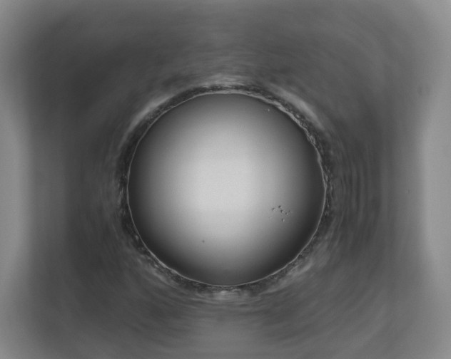 X0000110951160200906191245