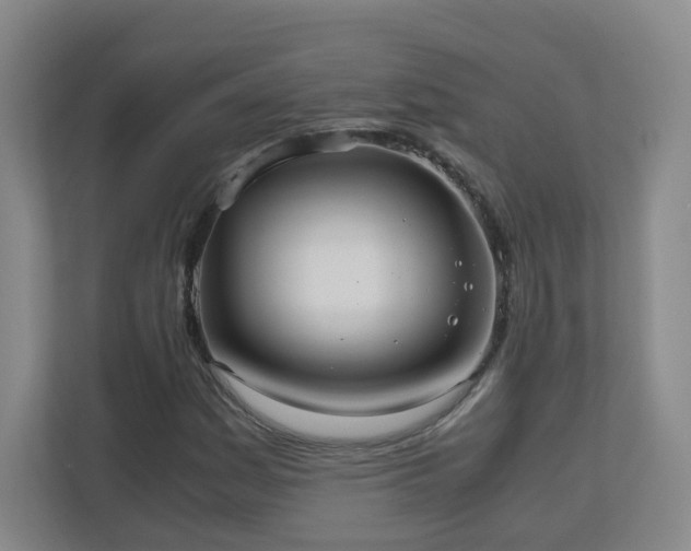 X0000110951161200906191245