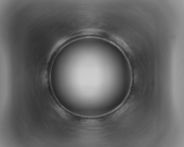 X0000110951164200906191245