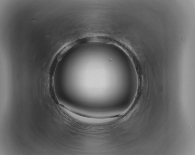 X0000110951165200906191245