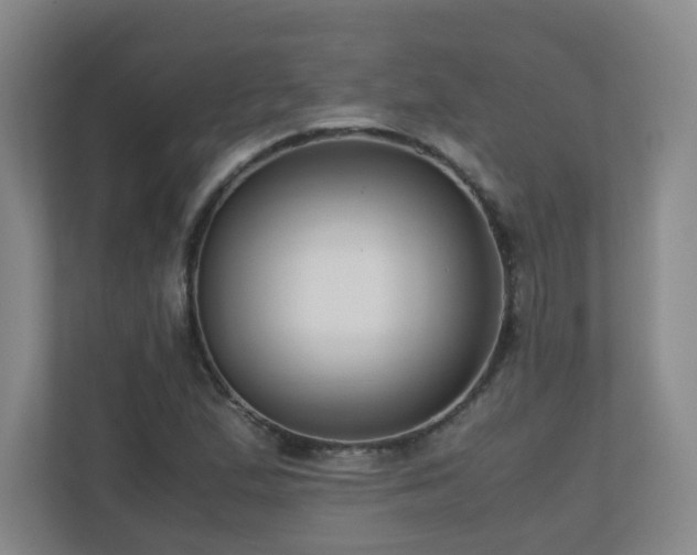 X0000110951167200906191245