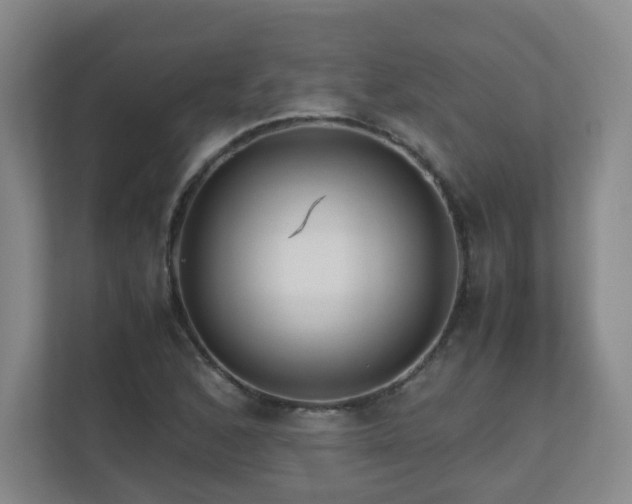 X0000110951168200906191245