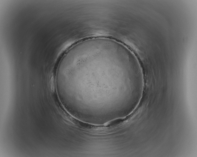 X0000110951171200906191245