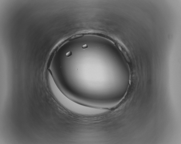 X0000110951173200906191245