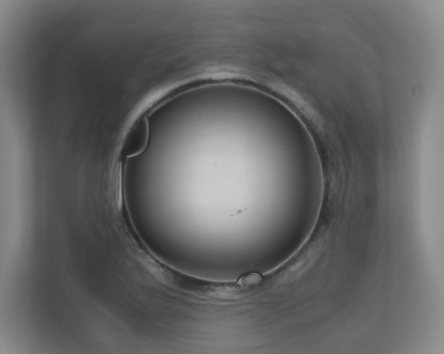 X0000110951175200906191245