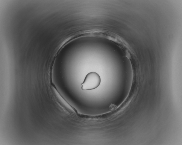 X0000110951177200906191244