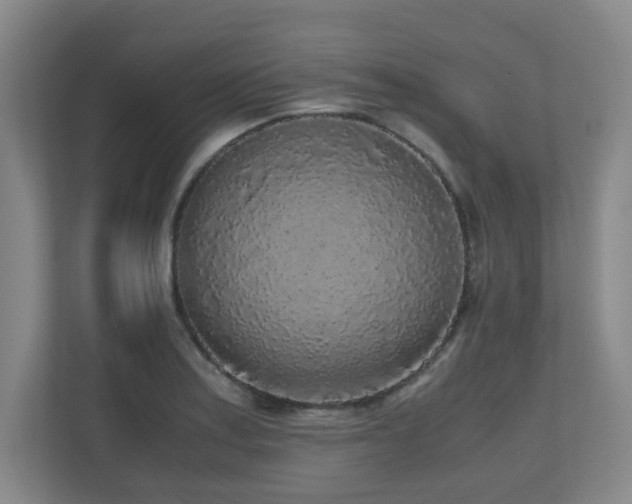 X0000110951179200906191244