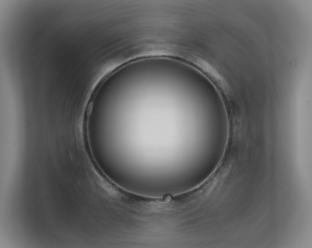 X0000110951181200906191244