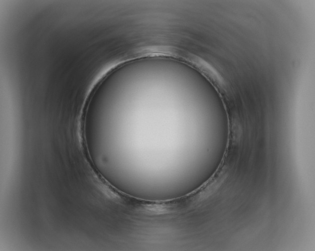 X0000110951182200906191244
